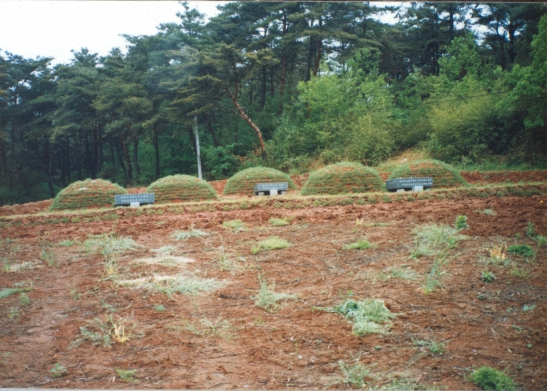 image01