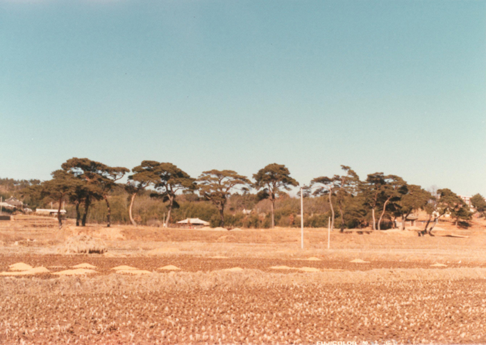 image01