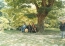 image01